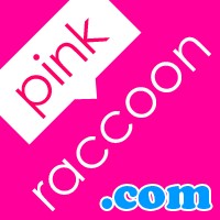 Pink Raccoon Cleaning Services 357915 Image 2